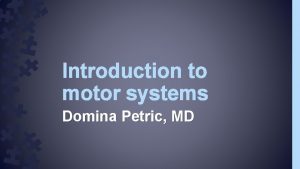 Introduction to motor systems Domina Petric MD Introduction