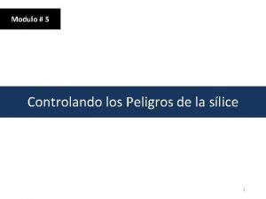 Modulo 5 Controlando los Peligros de la slice