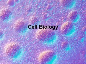 Cell Biology Outline Cell Structure and Organelles Cell