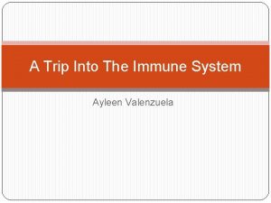 A Trip Into The Immune System Ayleen Valenzuela