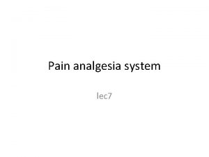 Pain analgesia system lec 7 Pain Analgesia System