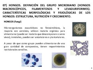 07 HONGOS DEFINICIN DEL GRUPO MICROBIANO HONGOS MACROSCPICOS