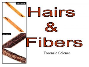 Forensic Science Biology of Hair Hair is composed