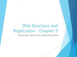 DNA Structure and Replication Chapter 5 Nucleotides Genes