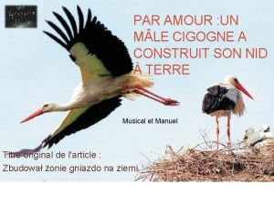 PAR AMOUR UN M LE CIGOGNE A CONSTRUIT