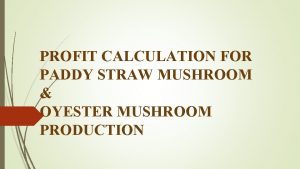 PROFIT CALCULATION FOR PADDY STRAW MUSHROOM OYESTER MUSHROOM