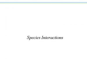 Species Interactions Interactions n n Populations do not
