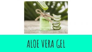 ALOE VERA GEL USES The aloe vera plant