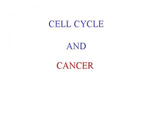 CELL CYCLE AND CANCER Cell Division Mitosis During