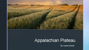 z Appalachian Plateau By Lauren Schmit z Table