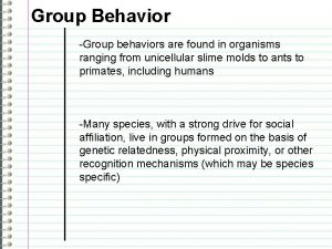 Group Behavior Group behaviors are found in organisms