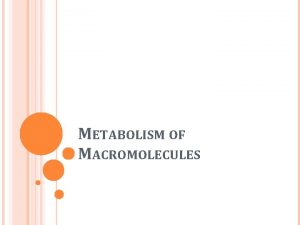 METABOLISM OF MACROMOLECULES METABOLSIM Metabolism Catabolism Anabolism Catabolism