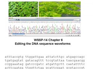 WSSP14 Chapter 6 Editing the DNA sequence waveforms