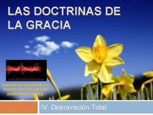 LAS DOCTRINAS DE LA GRACIA Diapositivas preparadas por