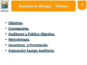 Auditora Amigo Temas Objetivo Cronograma Auditores y Pblico