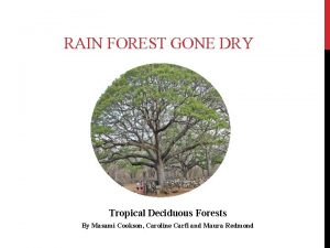 RAIN FOREST GONE DRY Tropical Deciduous Forests By