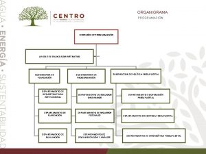 ORGANIGRAMA PROGRAMACIN DIRECCIN DE PROGRAMACIN UNIDAD DE ENLACE