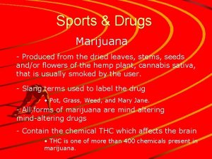 Sports Drugs Marijuana Produced from the dried leaves