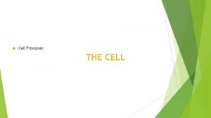 Cell Processes THE CELL LEARNING TARGETS 1 Student