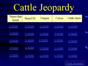 Cattle Jeopardy Name that breed Breed ID Origins