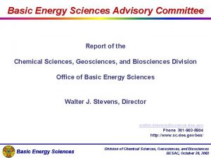 Basic Energy Sciences Advisory Committee Report of the