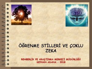 RENME STLLER VE OKLU ZEKA 2 1 2022