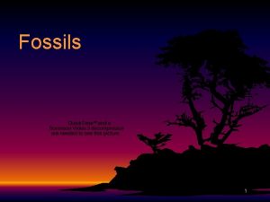 Fossils 1 What are fossils F F Fossils