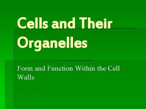 Cells and Their Organelles Form and Function Within