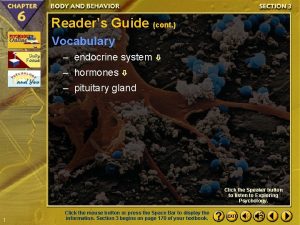 Readers Guide cont Vocabulary endocrine system hormones pituitary