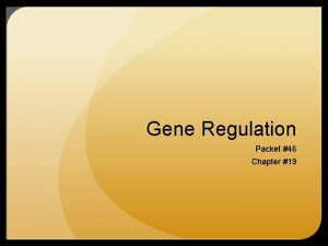 Gene Regulation Packet 46 Chapter 19 Prokaryotic vs