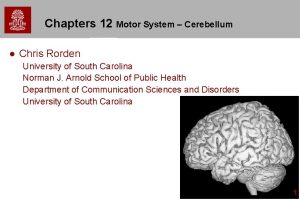Chapters 12 Motor System Cerebellum l Chris Rorden