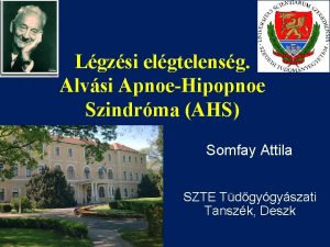 Lgzsi elgtelensg Alvsi ApnoeHipopnoe Szindrma AHS Somfay Attila