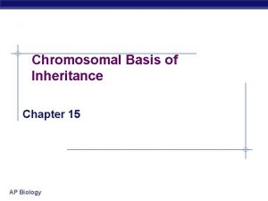 Chromosomal Basis of Inheritance Chapter 15 AP Biology