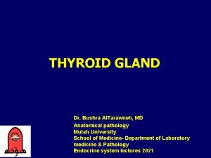 THYROID GLAND Dr Bushra Al Tarawneh MD Anatomical