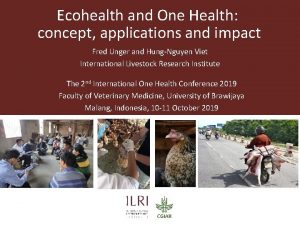 Ecohealth and One Health concept applications and impact