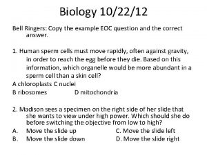 Biology 102212 Bell Ringers Copy the example EOC