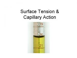 Surface Tension Capillary Action Surface Tension Surface tension