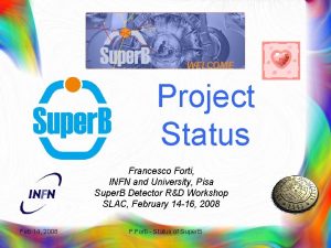 Project Status Francesco Forti INFN and University Pisa
