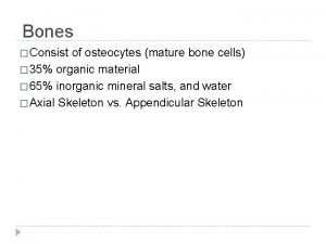 Bones Consist of osteocytes mature bone cells 35