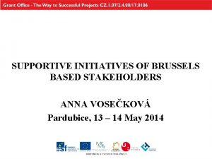 SUPPORTIVE INITIATIVES OF BRUSSELS BASED STAKEHOLDERS ANNA VOSEKOV