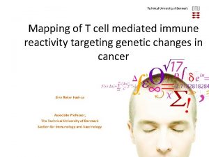 Mapping of T cell mediated immune reactivity targeting