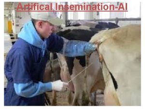 Artifical InseminationAI Artificial breeding Breeding Mating and production