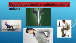 Desvios posturais e cuidados com a coluna Anatomia
