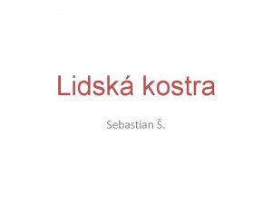 Lidsk kostra Sebastian Lidsk kostra pedstavuje soubor kost