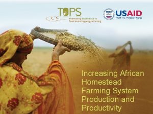 Increasing African Homestead Farming System Production and Productivity