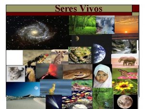 Seres Vivos v La unidad morfolgica y funcional