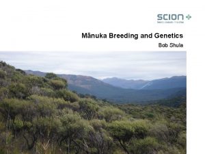 Mnuka Breeding and Genetics Bob Shula The Breeding