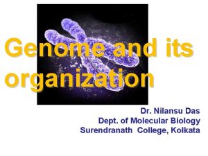 Genome and its organization Dr Nilansu Das Dept