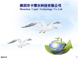 Shenzhen Capel Technology Co Ltd 202213 1 Shenzhen