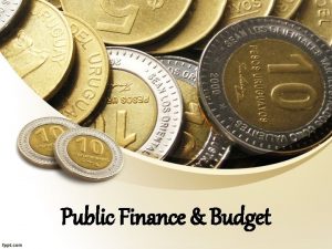 Public Finance Budget Public Finance Definition Public Finance